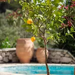 Guest house Arapaki Secret Garden, Ground Floor Deluxe Suite, Private Pool, Sauna, Sea View