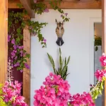 Guest house Arapaki Secret Garden, Ground Floor Deluxe Suite, Private Pool, Sauna, Sea View