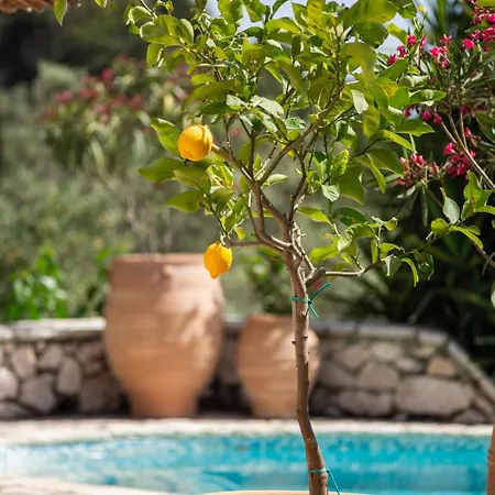 Konukevi Arapaki Secret Garden, Ground Floor Deluxe Suite, Private Pool, Sauna, Sea View