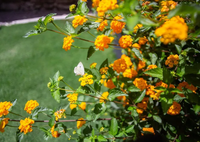 Arapaki Secret Garden, Ground Floor Deluxe Suite, Private Pool, Sauna, Sea View Guest house