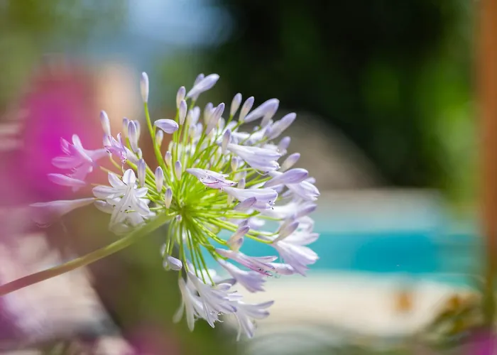 Arapaki Secret Garden, Ground Floor Deluxe Suite, Private Pool, Sauna, Sea View 4*